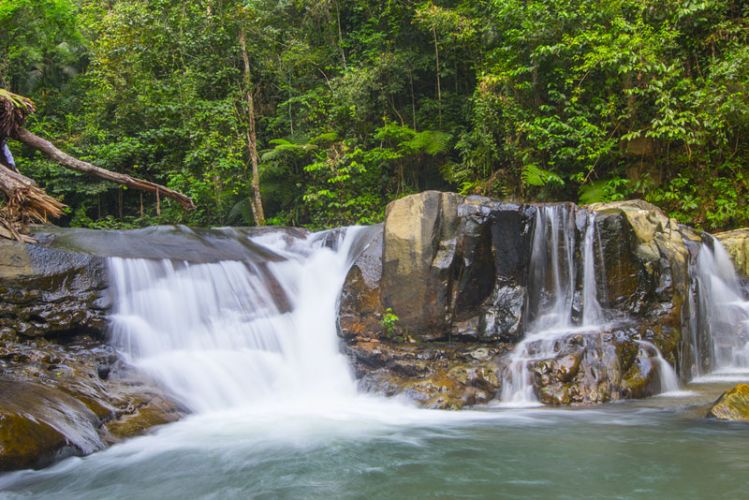 National Park in Pahang