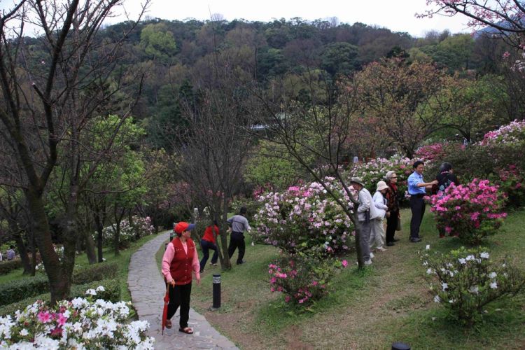 حديقة يانغ مينغ شان الوطنية - Yangmingshan في تايوان