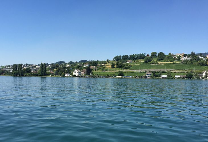 بحيرة زيوريخ في سويسرا