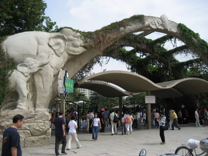 حديقة حيوان في شنغهاي - الصين 
