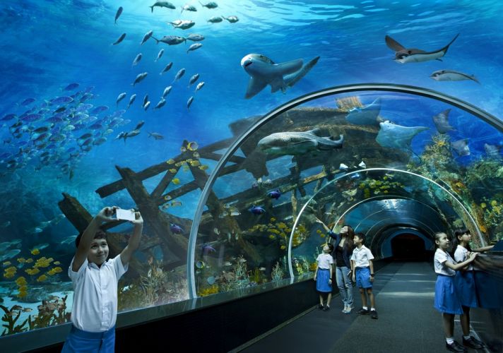منتجع المحيطات في الصين Students-in-the-SEA-Aquarium
