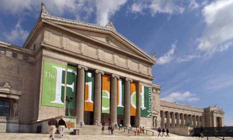 متحف فيلد - المتحف الميداني للتاريخ الطبيعي في شيكاغو