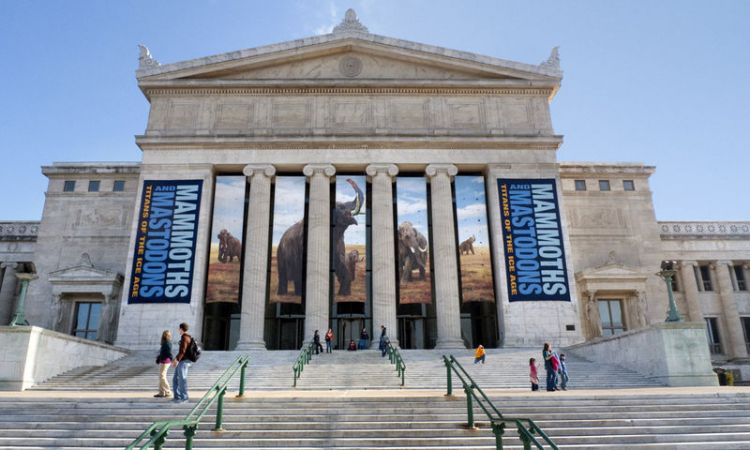 متحف فيلد - المتحف الميداني للتاريخ الطبيعي في شيكاغو