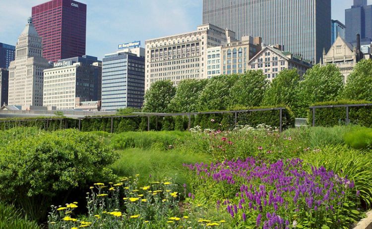 حديقة الألفية في مدينة شيكاغو