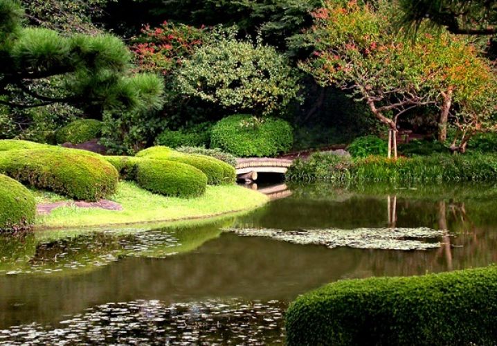 حديقة رايكوجين ‫في طوكيو - اليابان‬