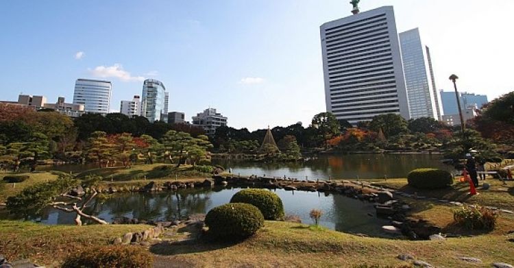حديقة کيو شيبا ريکيو ‫في طوكيو - اليابان‬