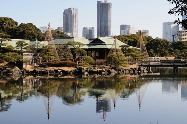 حدائق هاماريكيو في طوكيو - اليابان