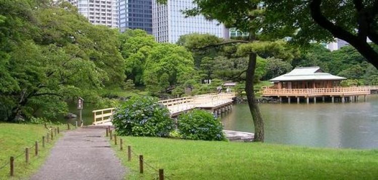 Hamarikyu Gardens