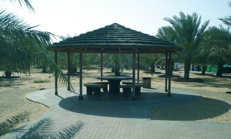 حديقة الراشدية في عجمان