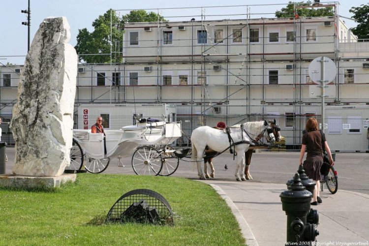 عربات الخيول في فيينا - النمسا