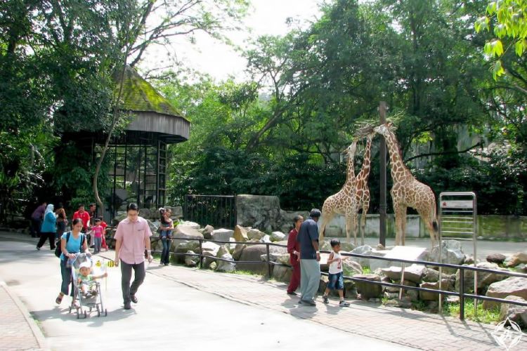 حديقة الحيوانات 
