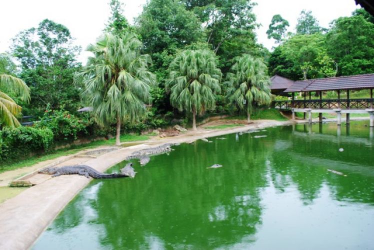 حديقة التماسيح في جزيرة لانكاوي - ماليزيا