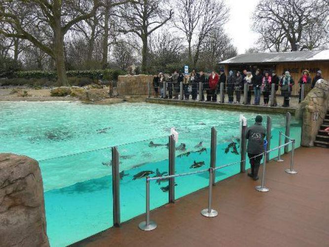 حديقة الحيوانات في لندن