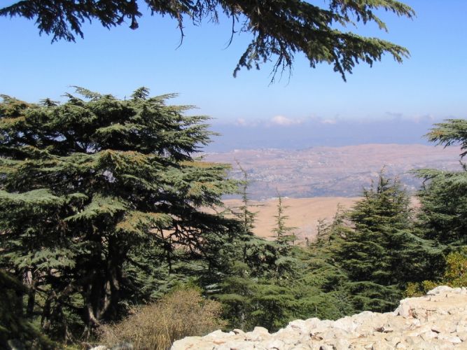 بلدية الباروك في محافظة جبل لبنان 