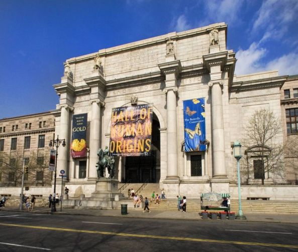 المتحف الامريكي للتاريخ الطبيعي في نيويورك