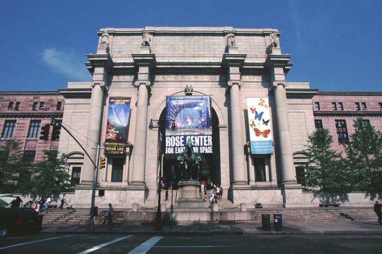المتحف الامريكي للتاريخ الطبيعي في نيويورك الولايات المتحدة الأمريكية سائح