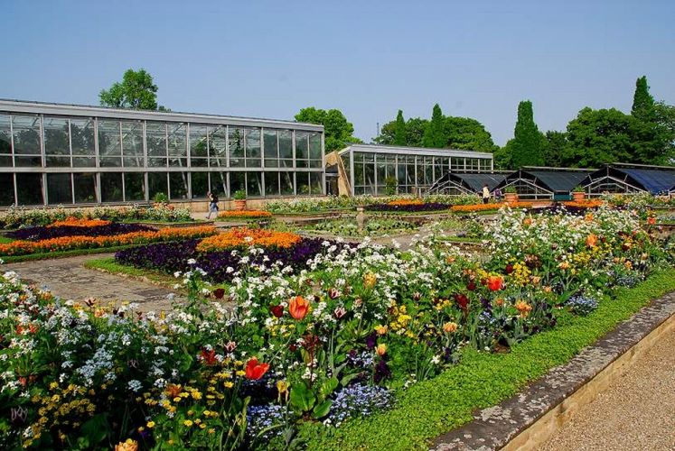 حديقة Berggarten في هانوفر