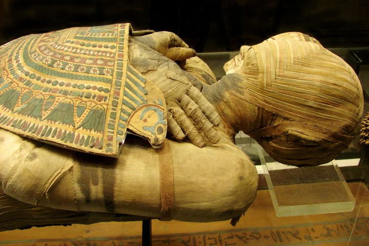 المتحف المصري يعرض 226 قطعة أثرية مهربة