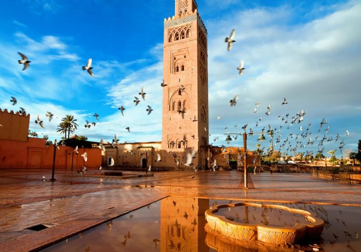 المغرب 
