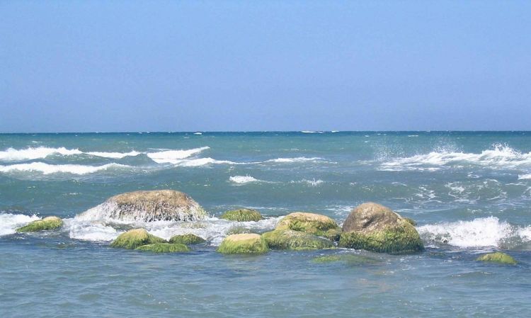 بحر قزوين