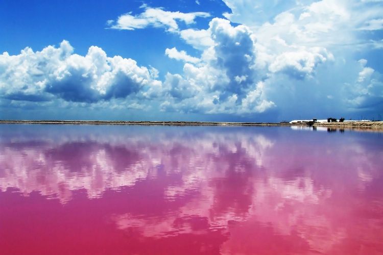 جزيرة وردية اللون في المكسيك