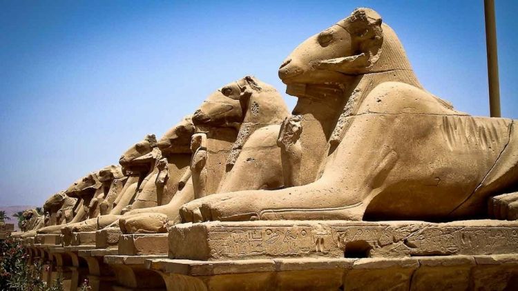  طريق الكباش الفرعوني في الأقصر