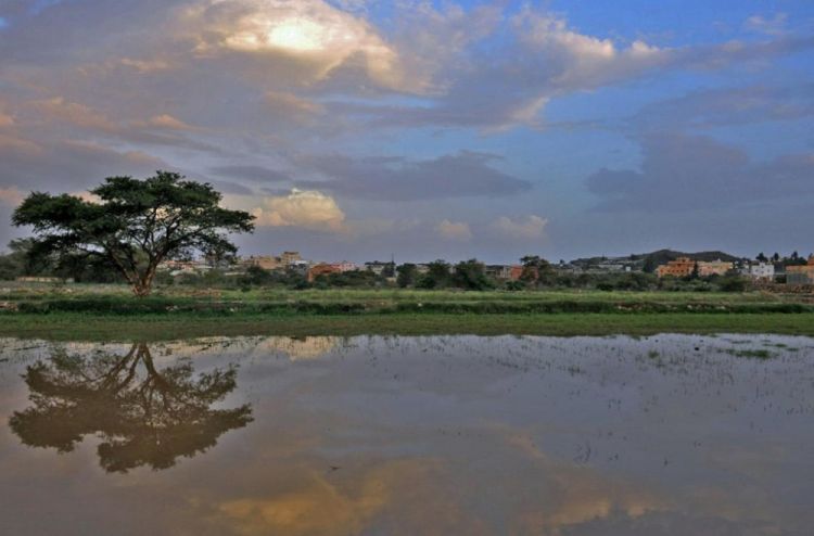 عسير