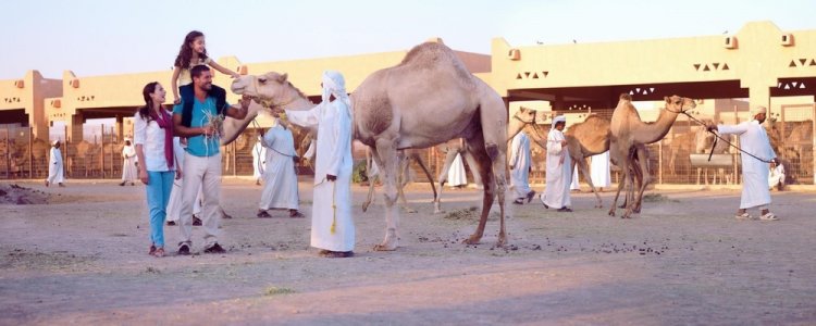 سوق الجمال في العين