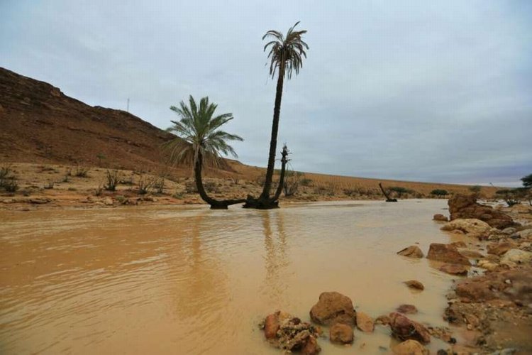 شعاب وأودية الشوكي