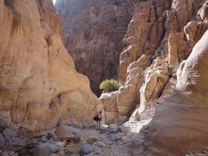 وادي نخيل جنوب سيناء