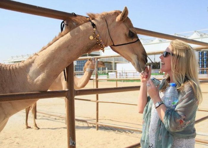 مهرجان مزاينة الظفرة للإبل