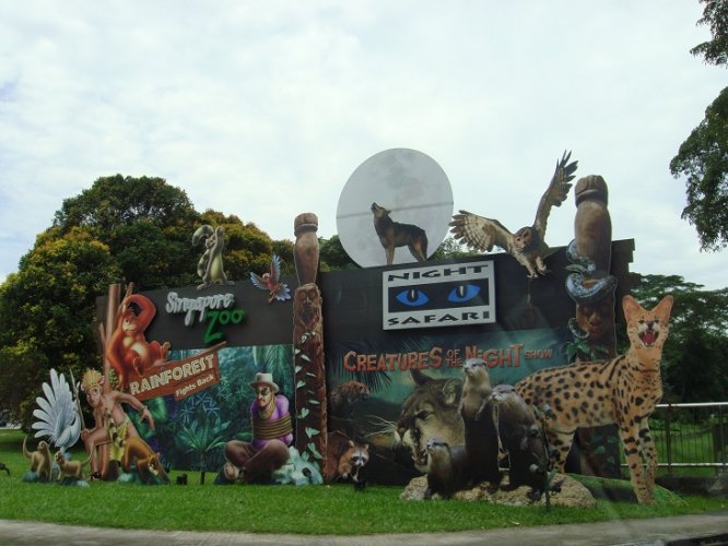  حديقة حيوان سنغافورة