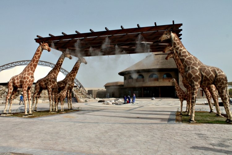  حديقة سفاري دبي