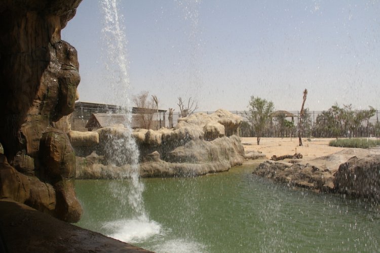  حديقة سفاري دبي