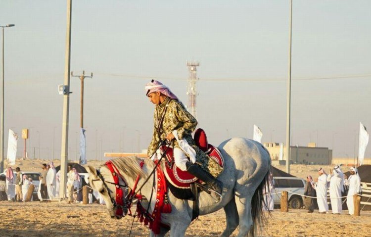 مهرجان سفاري بقيق