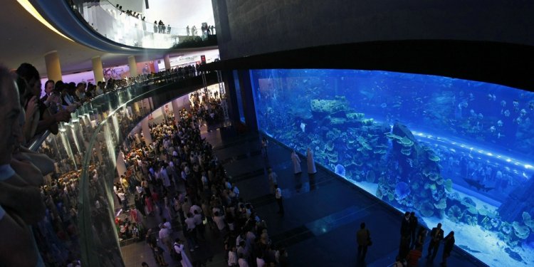 حديقة حيوانات افتراضية في دبي