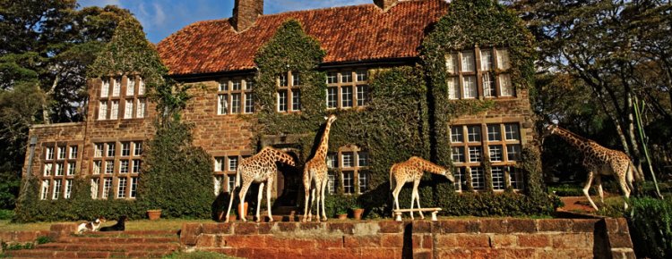 فندق قصر الزرافات في كينيا