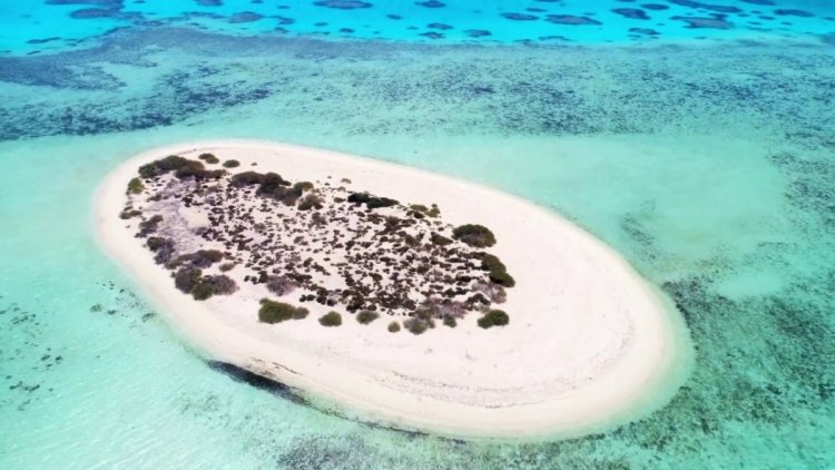 الجزر السعودية في البحر الاحمر