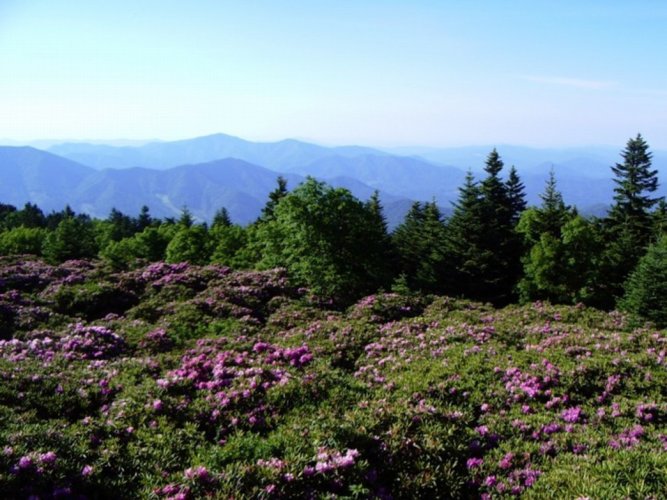 جبل روان في مدينة اشفيل 