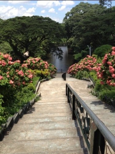 حديقة La Mesa Eco Park في كيزون الفلبينية