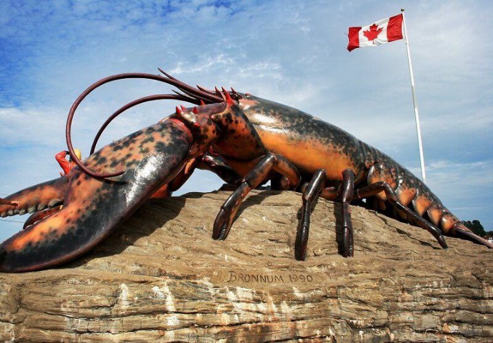 شدياق وجراد البحر العملاق Shediac’s Giant Lobster في نيوبرونزويك