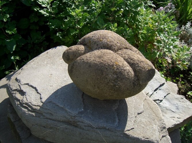 الحجارة الحية في رومانيا