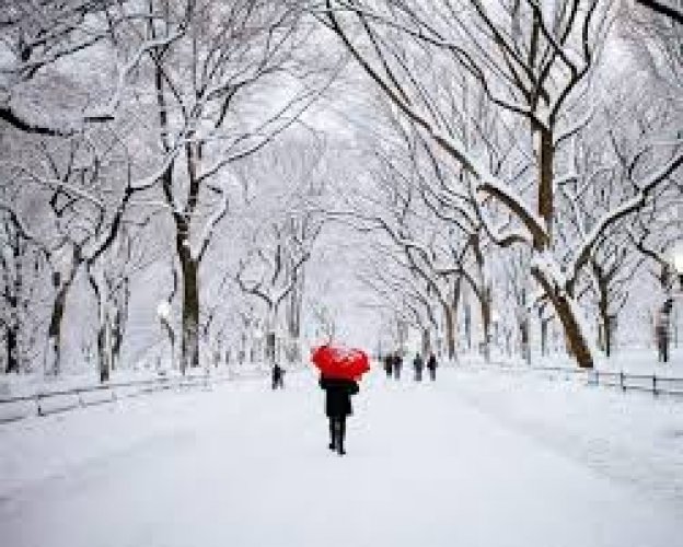 الشتاء في نيويورك