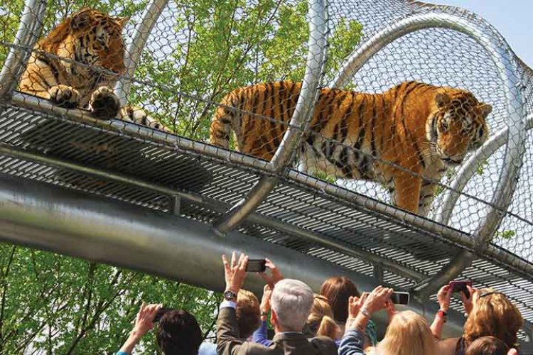 Роль зоопарков