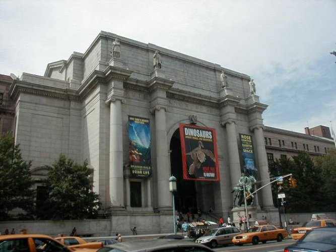 متحف Carnegie Museum of Natural History
