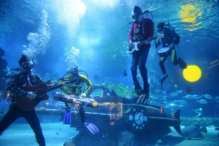 مهرجان الموسيقى تحت الماء