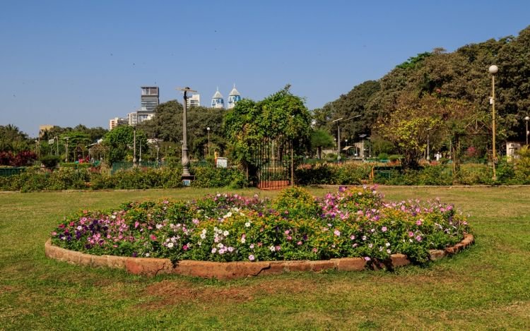 حدائق فيروز شاه المعلقة