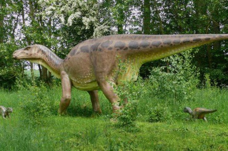 حفريات الديناصورات في درومهلير