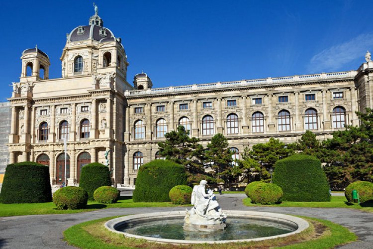 متحف فيينا