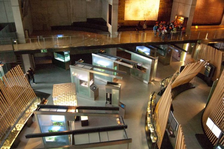 متحف كوزمو كايزا للعلوم